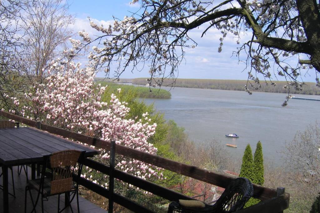 Villa Kornelija Stari Slankamen Экстерьер фото