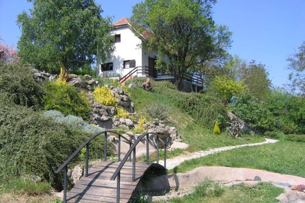 Villa Kornelija Stari Slankamen Экстерьер фото