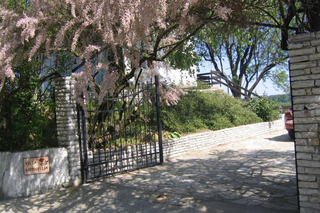 Villa Kornelija Stari Slankamen Экстерьер фото