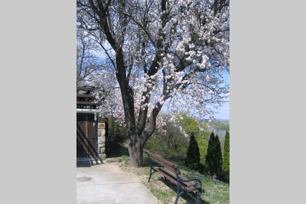 Villa Kornelija Stari Slankamen Экстерьер фото